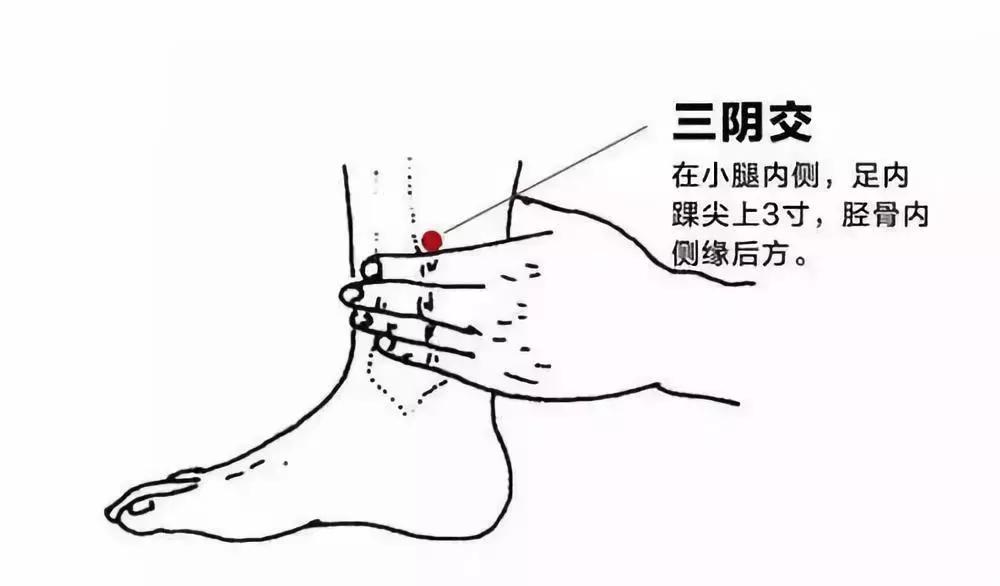 三阴的准确位置图片和功效,补肾壮阳多按摩6个部位 三阴的准确位置图片和功效,补肾壮阳多按摩6个部位