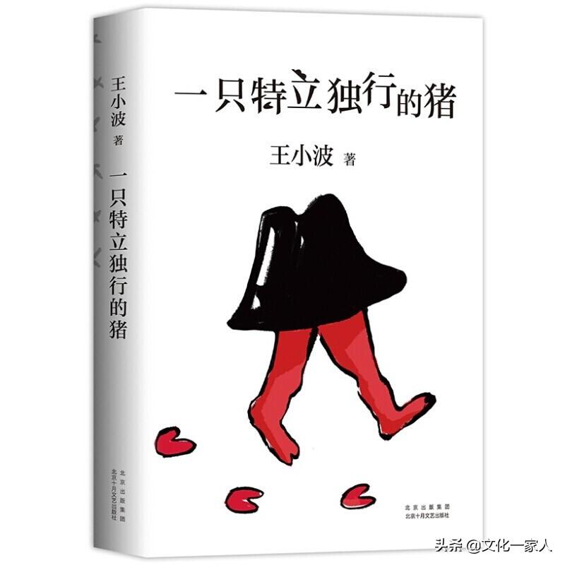 一只特立独行的猪读后感800字,一只独立独行的猪阅读感悟