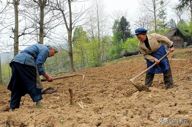 什么工作可以做到老不失业（适合穷人翻身的10个行业）