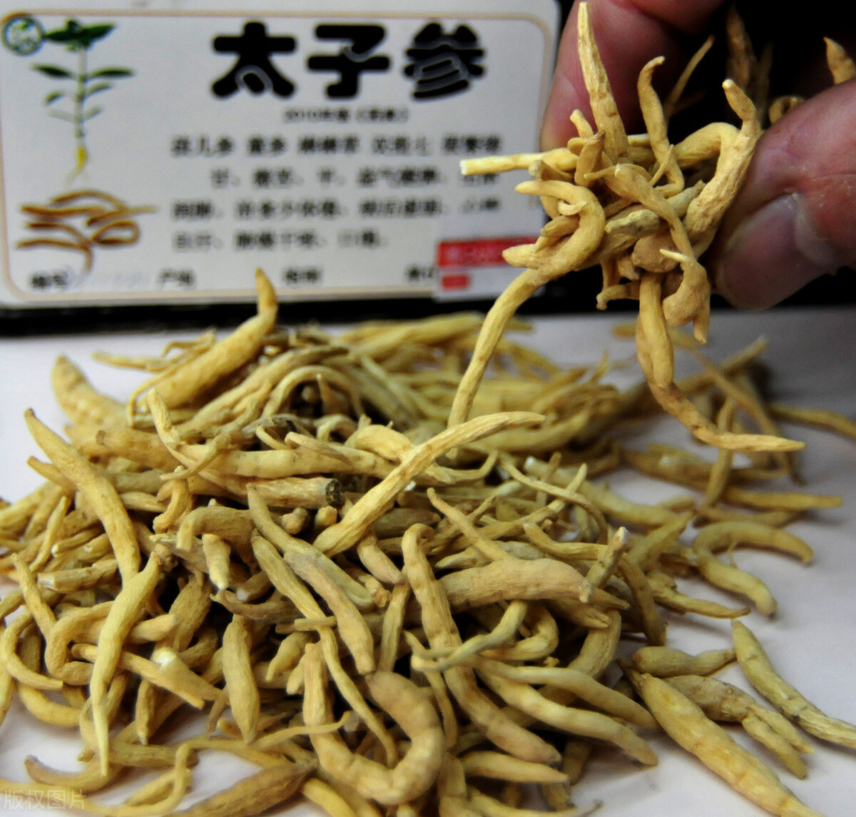 人参是补什么作用（龙参补益膏扬子江价格）