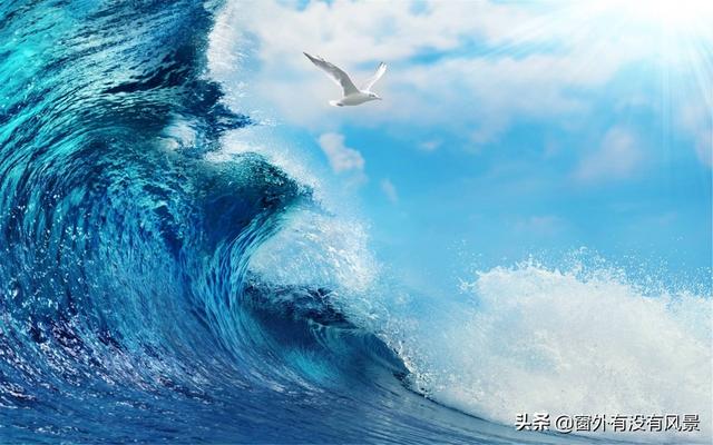 事业单位管理岗八级升七级（事业单位八级管理岗位）