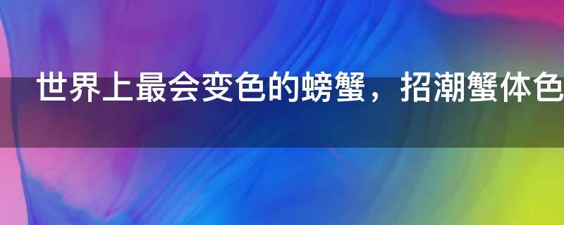 世界上最大的螃蟹图片（帝王蟹会被吃灭绝吗）