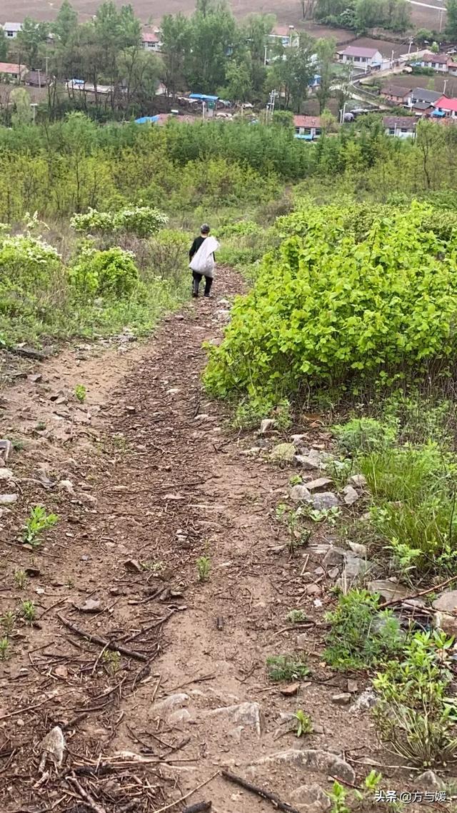 你生活在城市还是农村（你愿意住在城市还是农村）