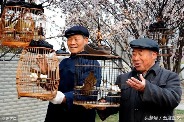 2022年养老金还可能上涨吗，退休中人能补发多少钱
