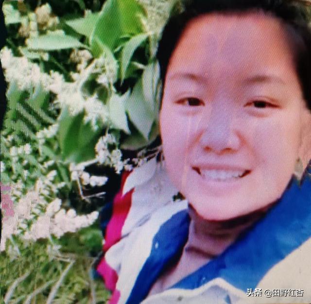 你知道这是什么花吗英语,谁知道这是什么花 你知道这是什么花吗英语,谁知道这是什么花