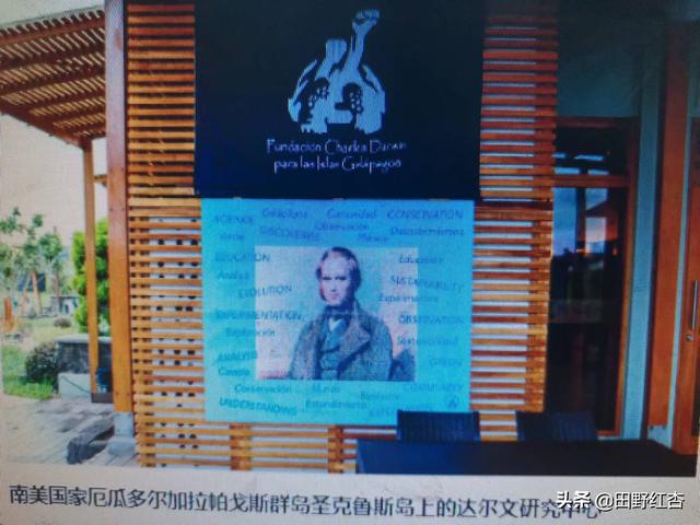 人类起源的说法有哪些（人类真正的起源）