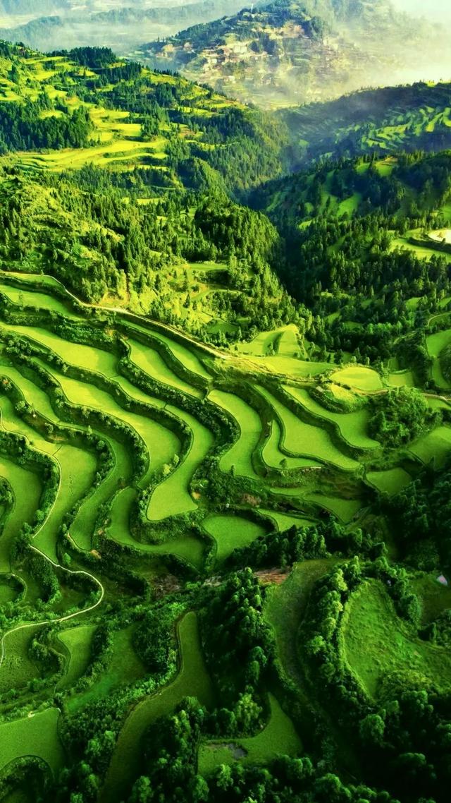 农民住楼好日子到头,九楼不是一般人能住的 农民住楼好日子到头,九楼不是一般人能住的