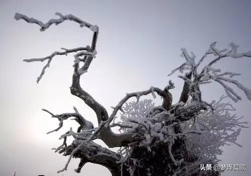 人日寄杜二拾遗古诗拼音,人日寄杜二拾遗古诗拼音 人日寄杜二拾遗古诗拼音,人日寄杜二拾遗古诗拼音