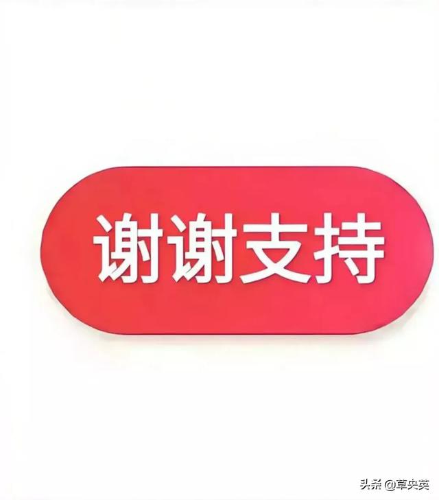 人到老年的感悟金句（人到老年的感悟金句）