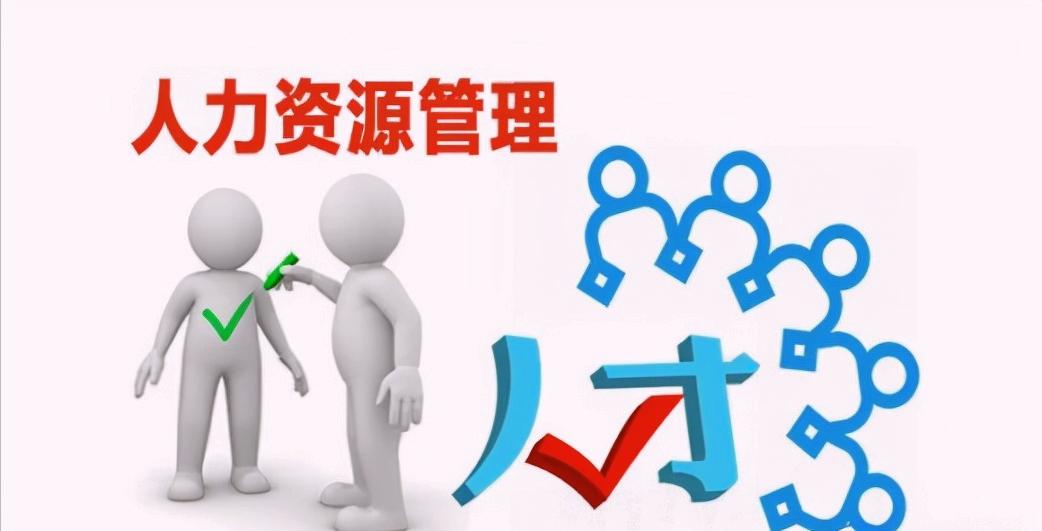 人力资源六大板块是指（hr六大模块的主要内容）