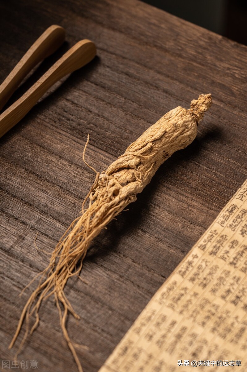 人参的功效与作用吃法用量（人参对男性性功能功效）