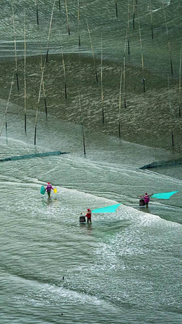 你认为什么最可怕英语,永远认为自己是对的很可怕 你认为什么最可怕英语,永远认为自己是对的很可怕