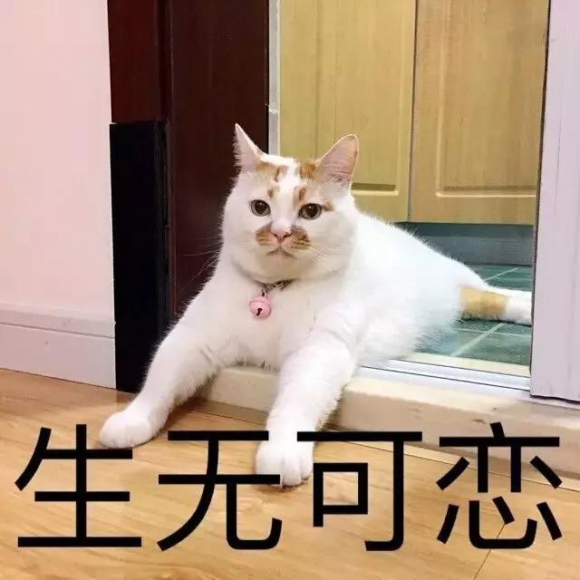 人真的会笑出内伤（十部笑出内伤的电影）