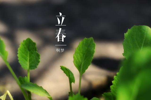 历史最早的春节是哪一年，史上最早春节1月13日