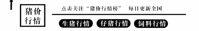全国毛猪最新价格表（全国各地生猪价格一览表）