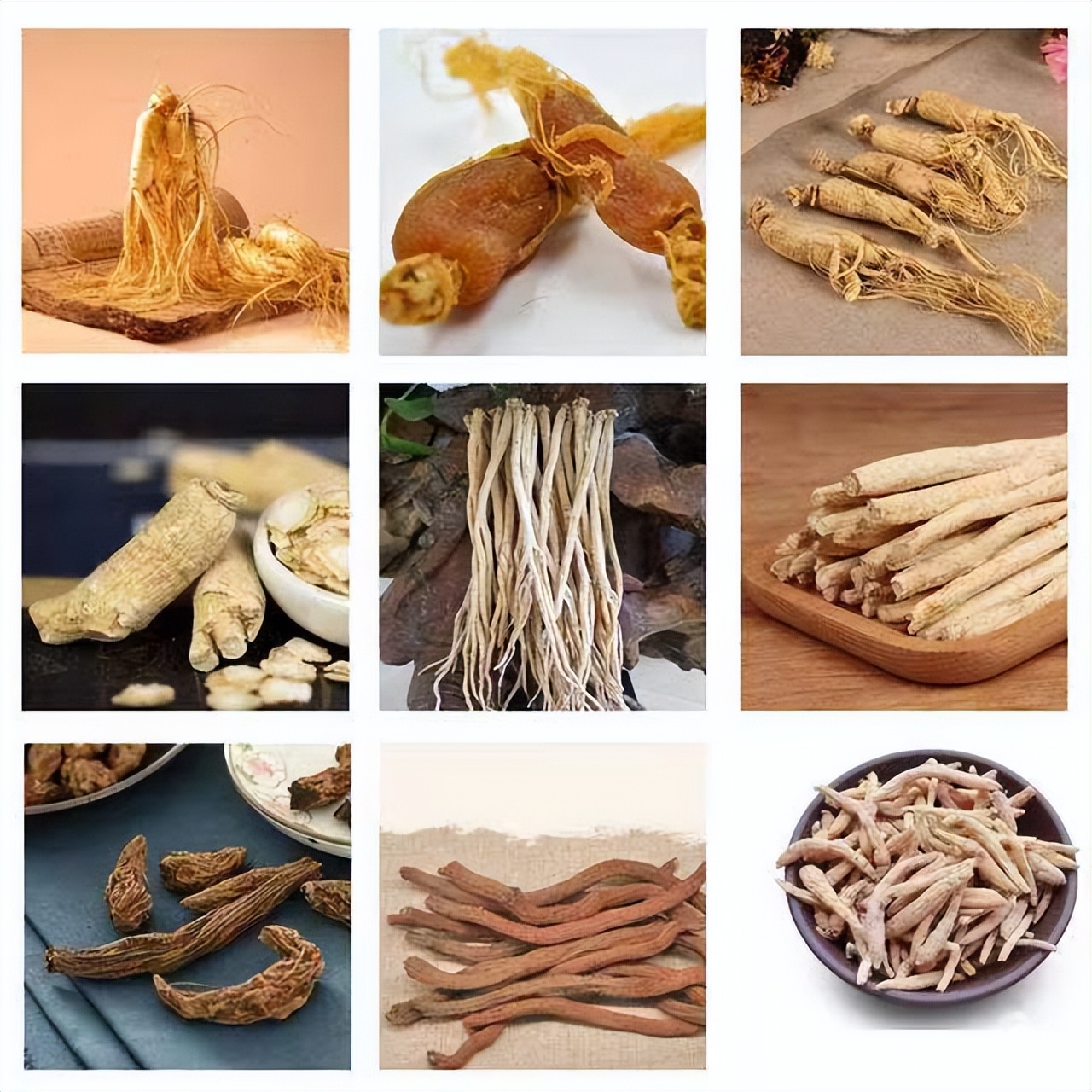 人参是补什么作用,龙参补益膏扬子江价格 人参是补什么作用,龙参补益膏扬子江价格