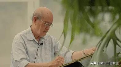 体力劳动者65岁退休,60岁以上属于什么劳动力 体力劳动者65岁退休,60岁以上属于什么劳动力