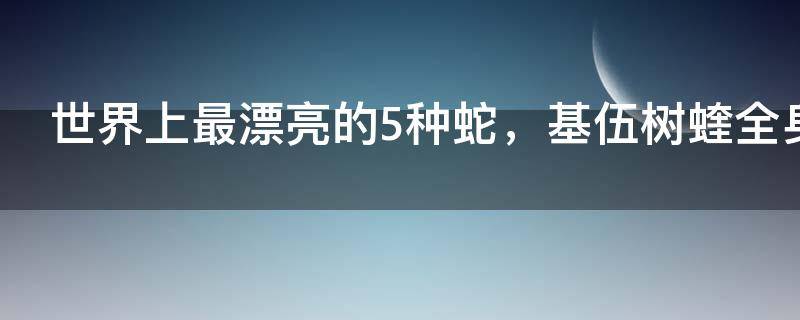 世界上10大最美蛇类之一（全球最漂亮的十种蛇）