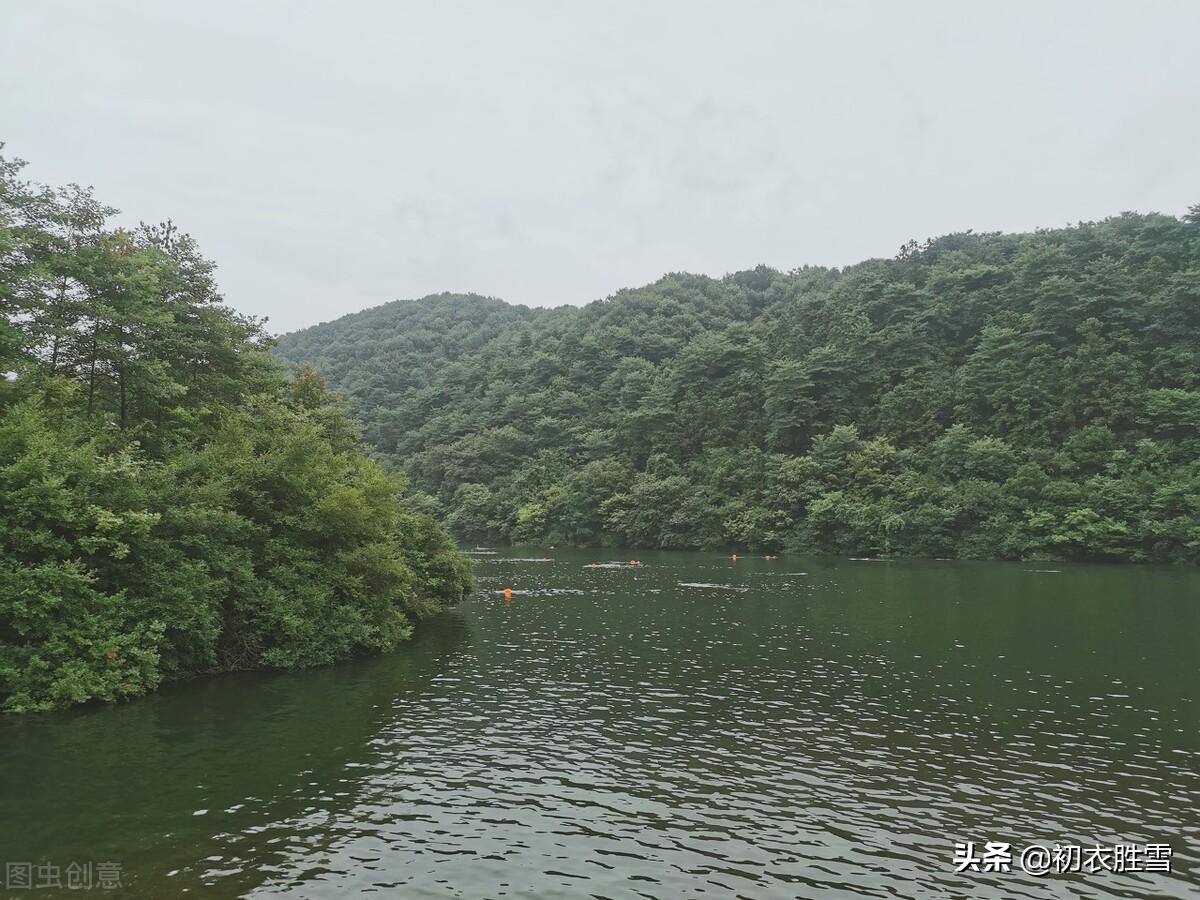 形容青山绿水的诗句的优美句子，绿水青山唯美意境句子