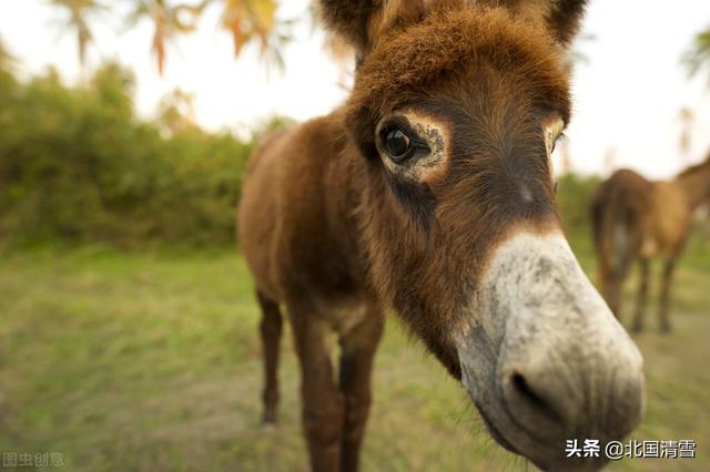 女方应该给婆婆钱吗，婆婆给钱怎样处理