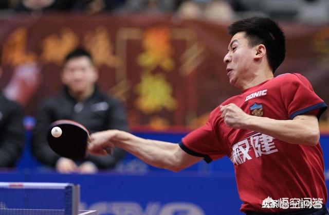 天津乒乓球业余排名前十（世界乒乓球排名前十位）