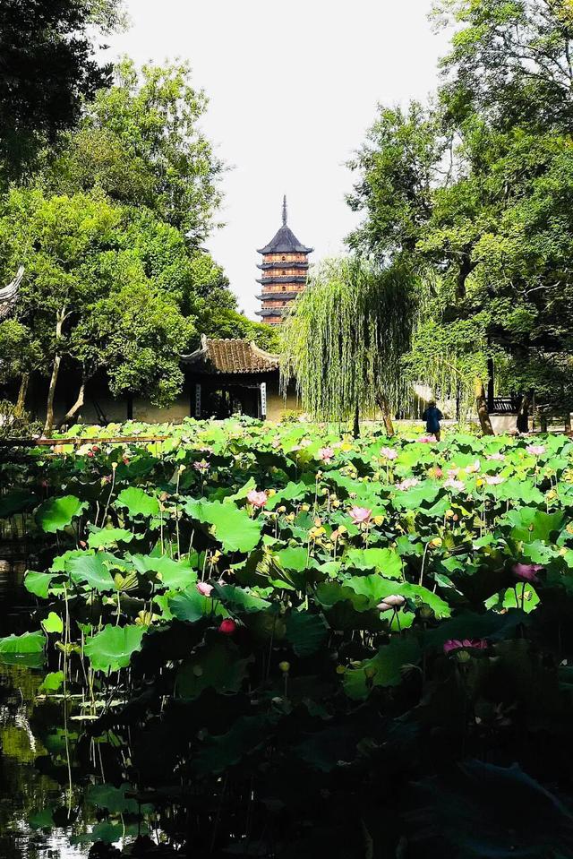 奶越来越少怎么补回来55天,奶水少了怎么补救方法 奶越来越少怎么补回来55天,奶水少了怎么补救方法