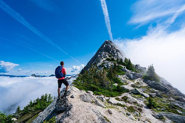 十二生肖喜欢爬山吗为什么，什么动物喜欢爬山